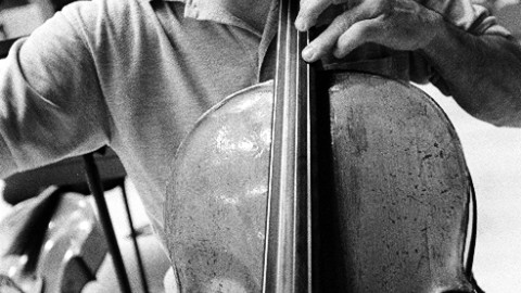 Members of the Barcelona Symphony