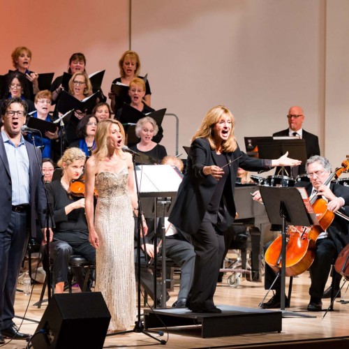 Spotlight Series: Noreen Green